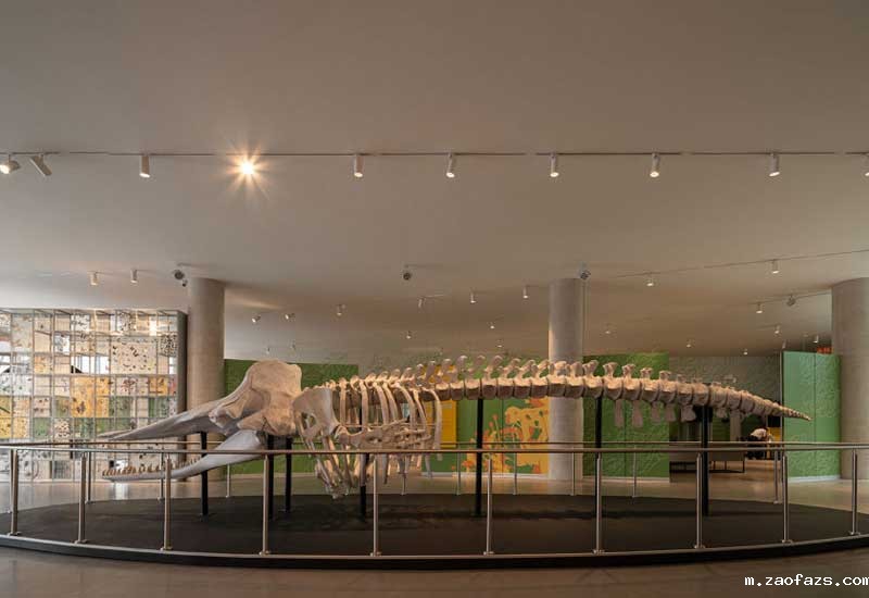 郑州博物馆展览设计：历史与现代的对话